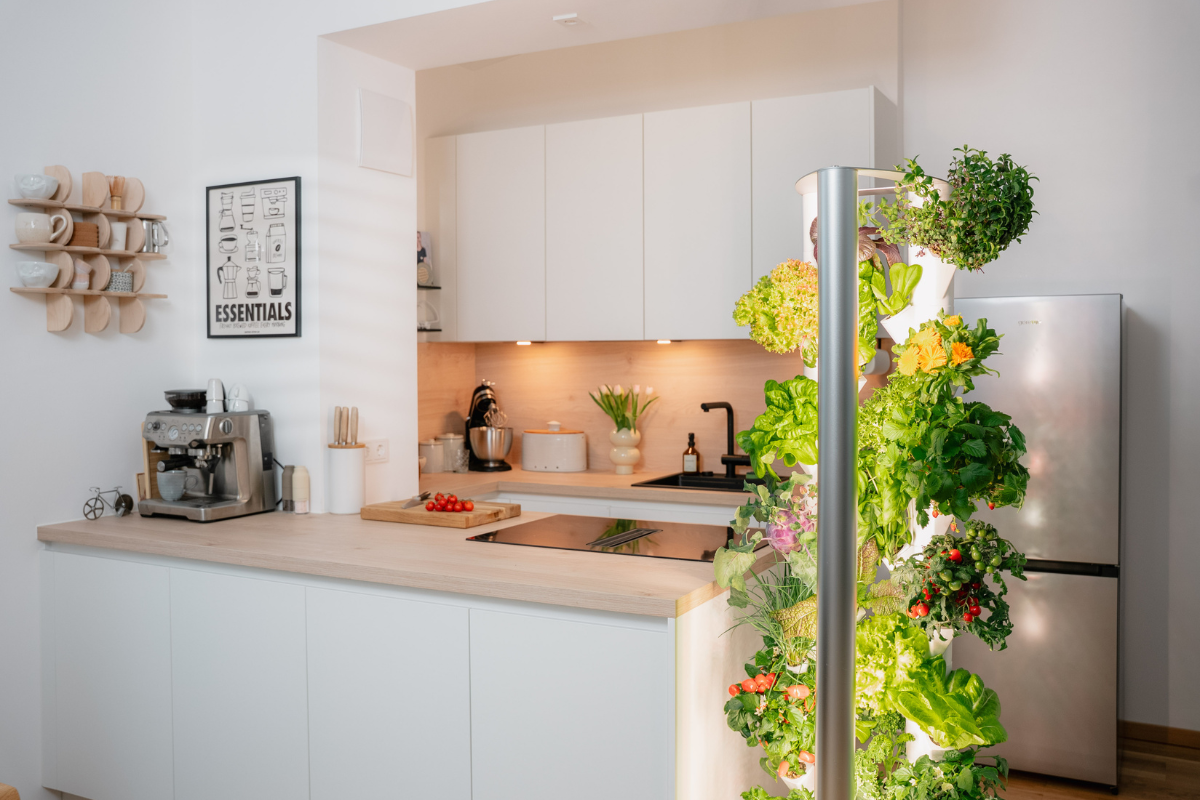standort für indoor garten