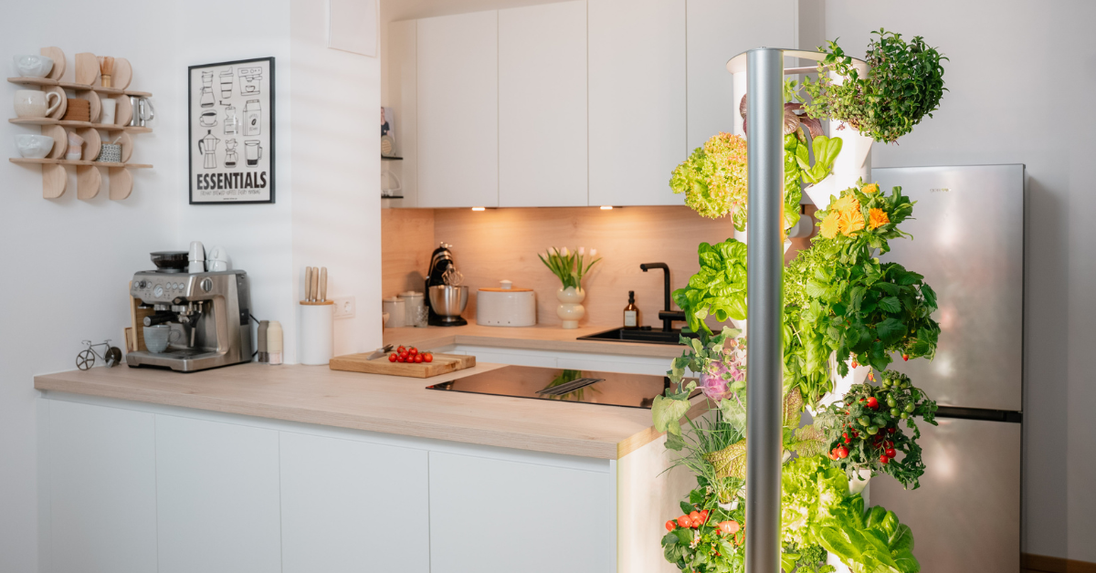 Idealer Ort für deinen Indoor Garten