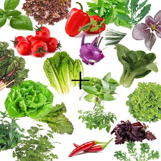 Asia Mix Bestandteile