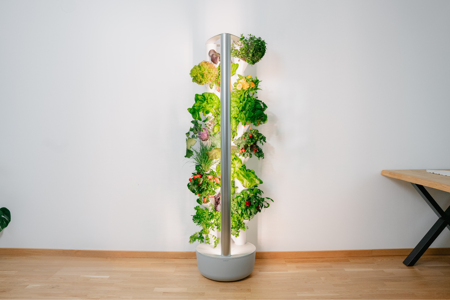 everleaf garden indoor hydroponik