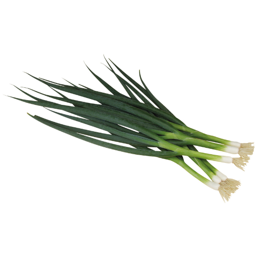 Everleaf Lauchzwiebel