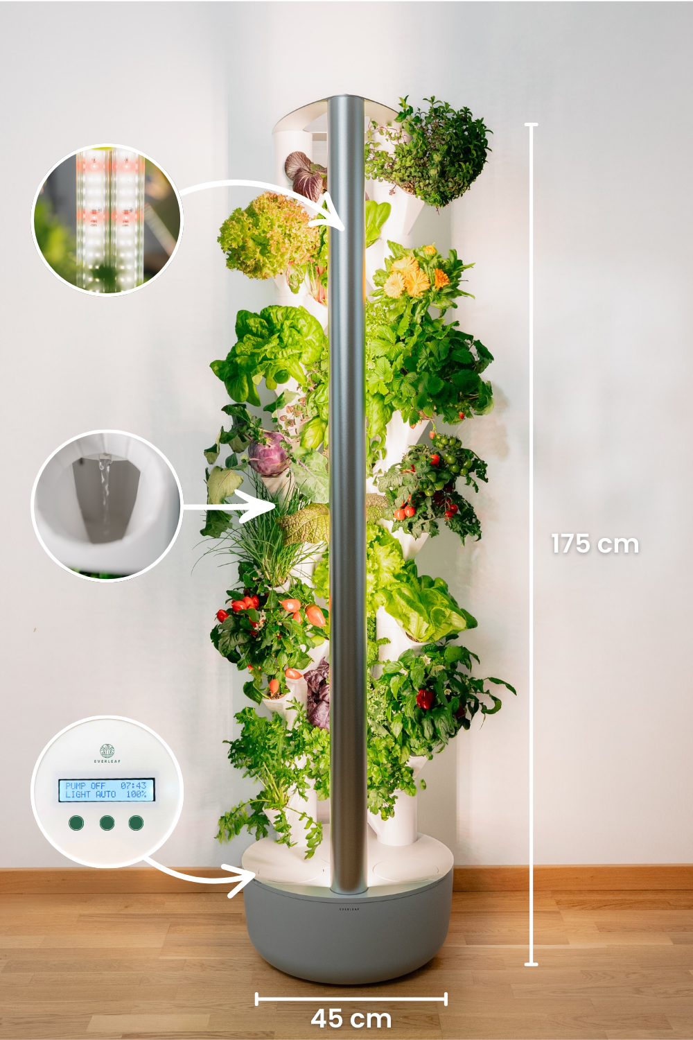 Everleaf Garden abmessungen