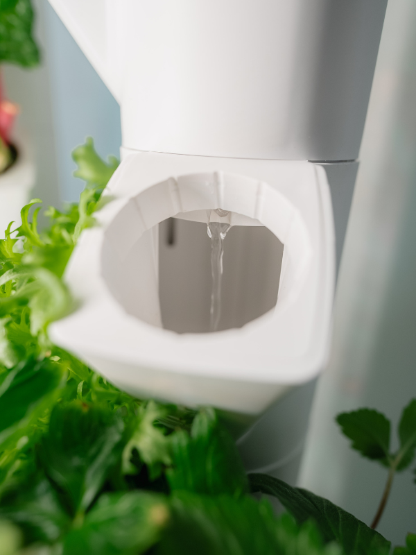 Everleaf Garden bewässerung