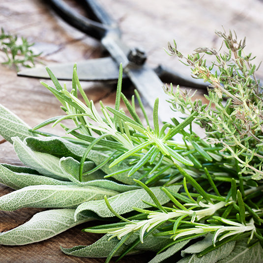 Mediterran Mix Übersichtsbild