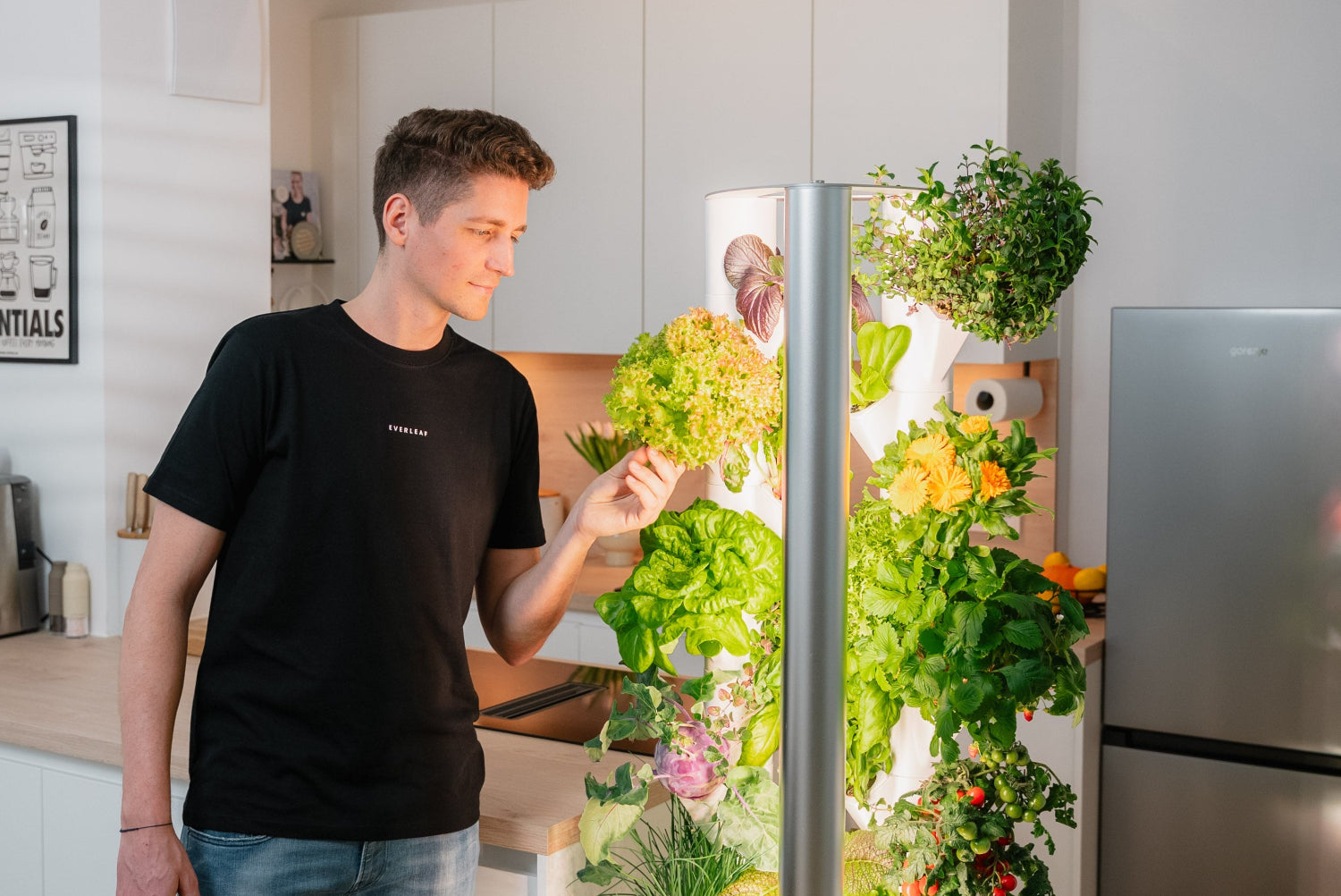 Everleaf Gründer