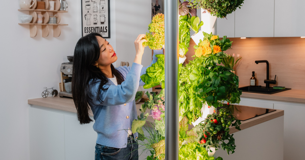 Pflanzen im Indoor Garten checken