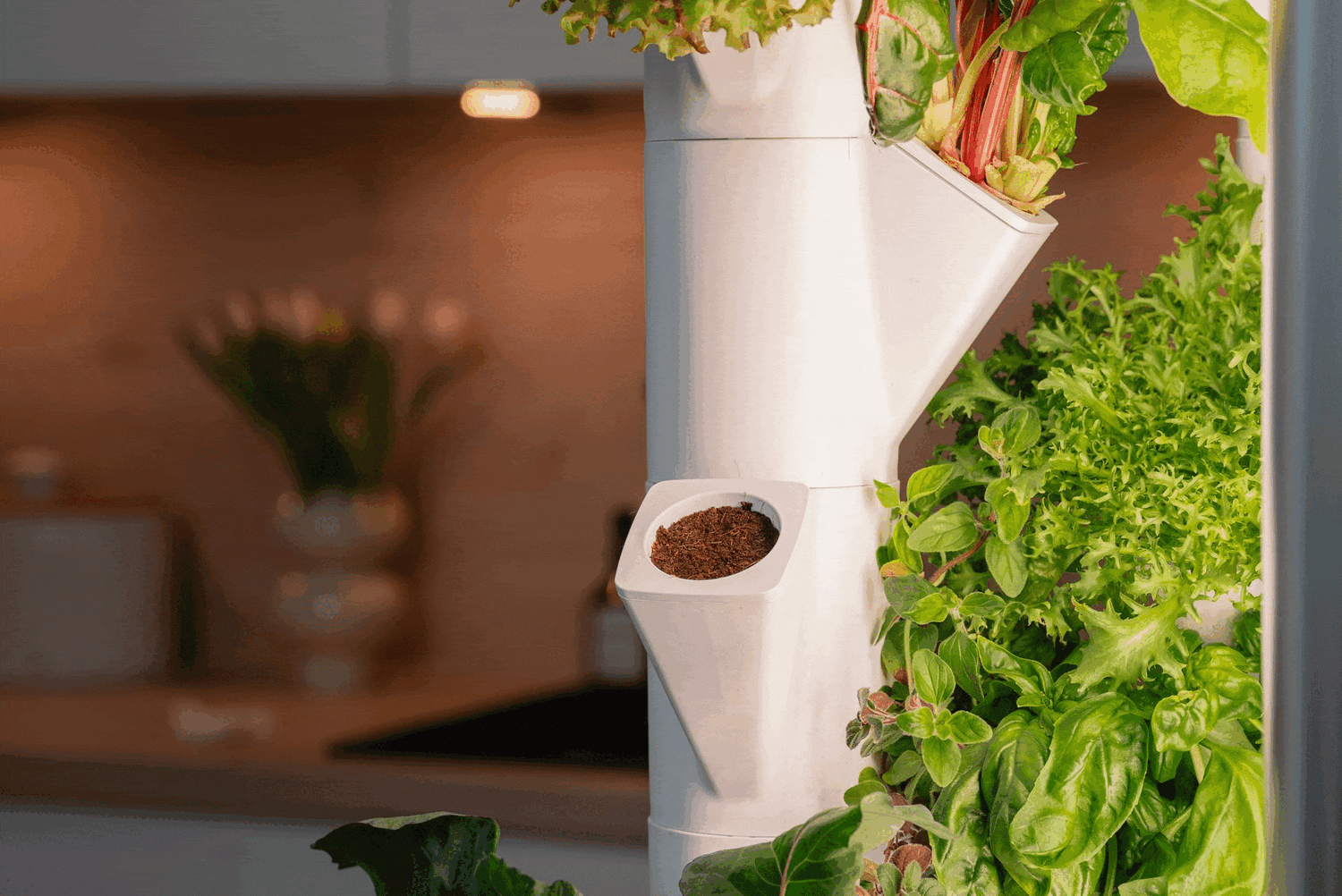 Anleitung indoor garten Everleaf