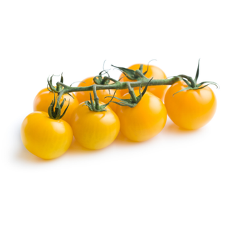 Kirschtomate gelb