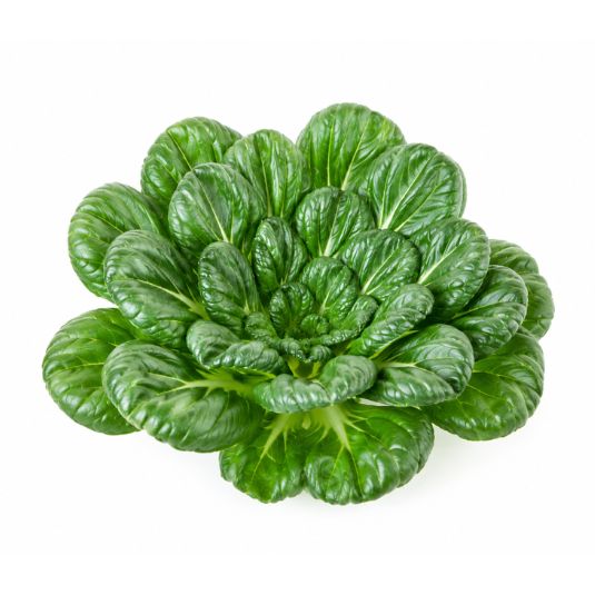 Tatsoi