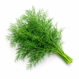 Dill