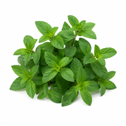 Minze Everleaf