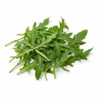 Rucola