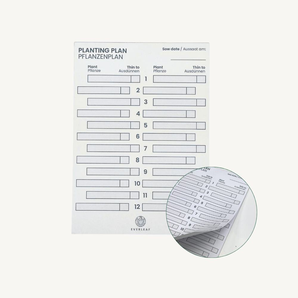 Pflanzenplan