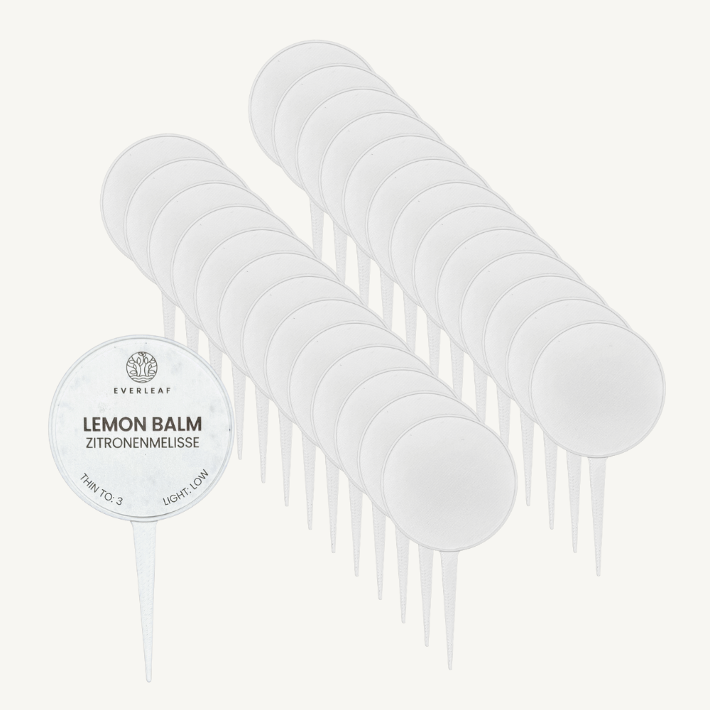 Planzenschilder Everleaf