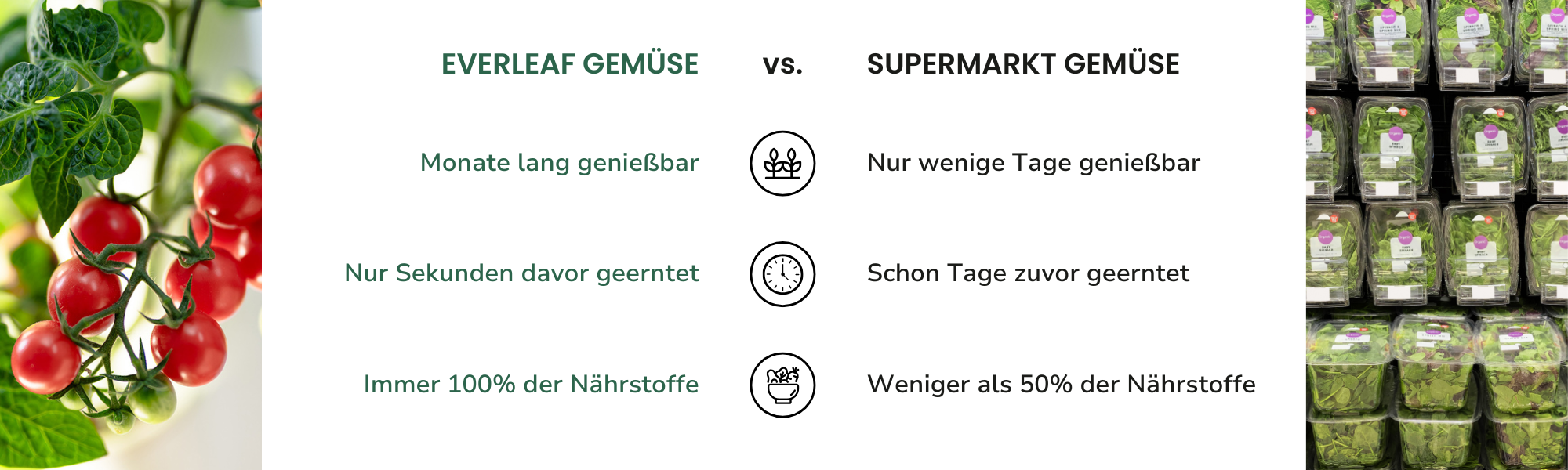 Vergleich everleaf gegen supermarkt gemüse