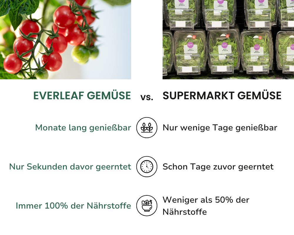 vergleich everleaf gegen supermarkt gemüse