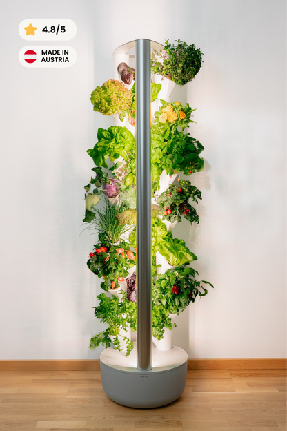 Indoor Garten von Everleaf