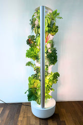 Everleaf Indoor Garten Hydroponik System