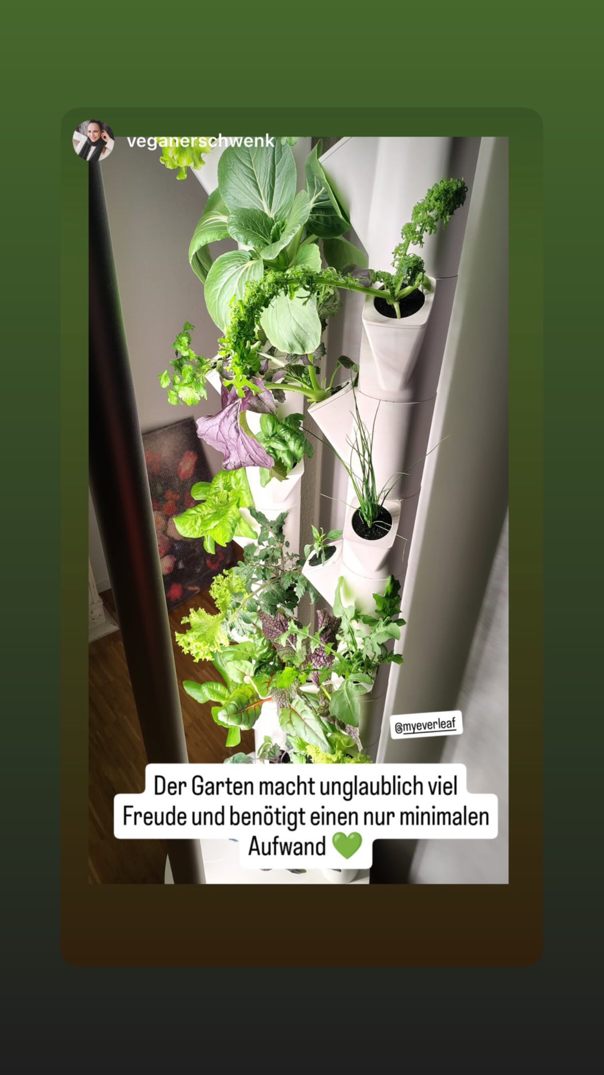 Veganer Schwenk Community Everleaf