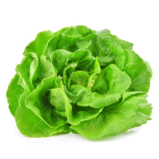 Kopfsalat