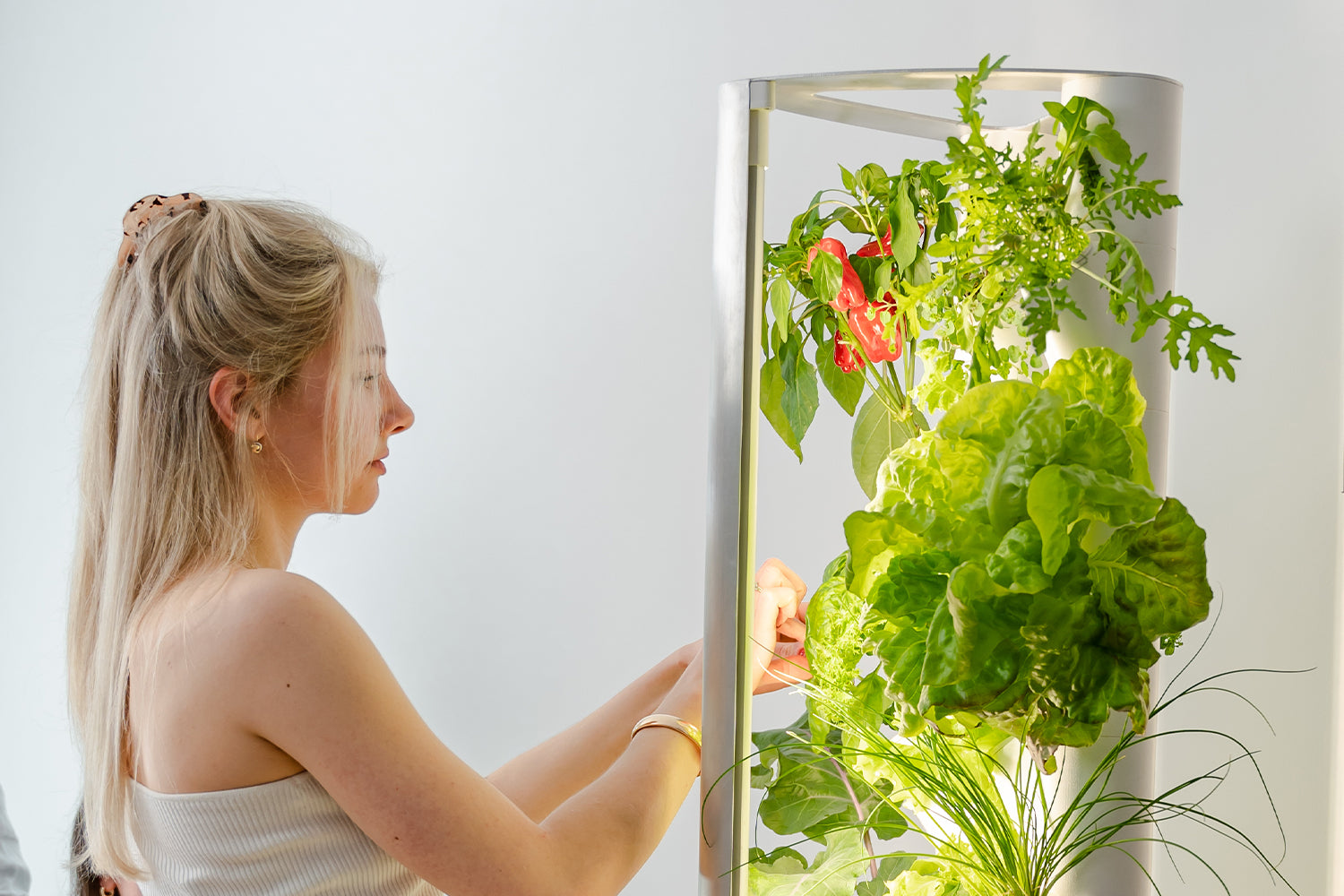 Frau beim Ernten am Everleaf Garden