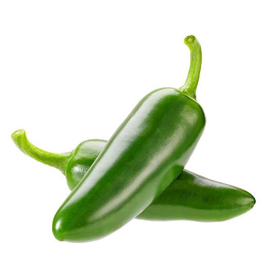 Jalapeno pflanze