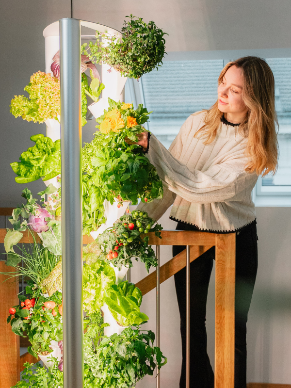Frau mit Indoor-Garten