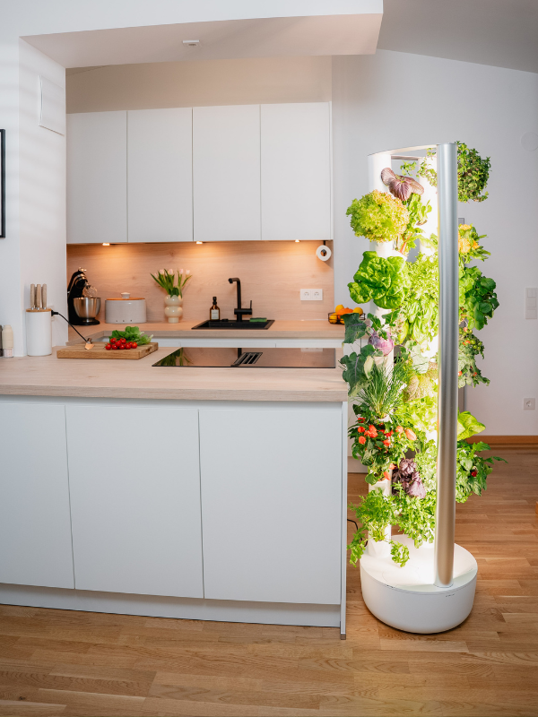 Everleaf Garden