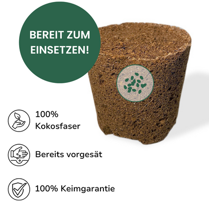 Pflanzen Everleaf Substratkapsel