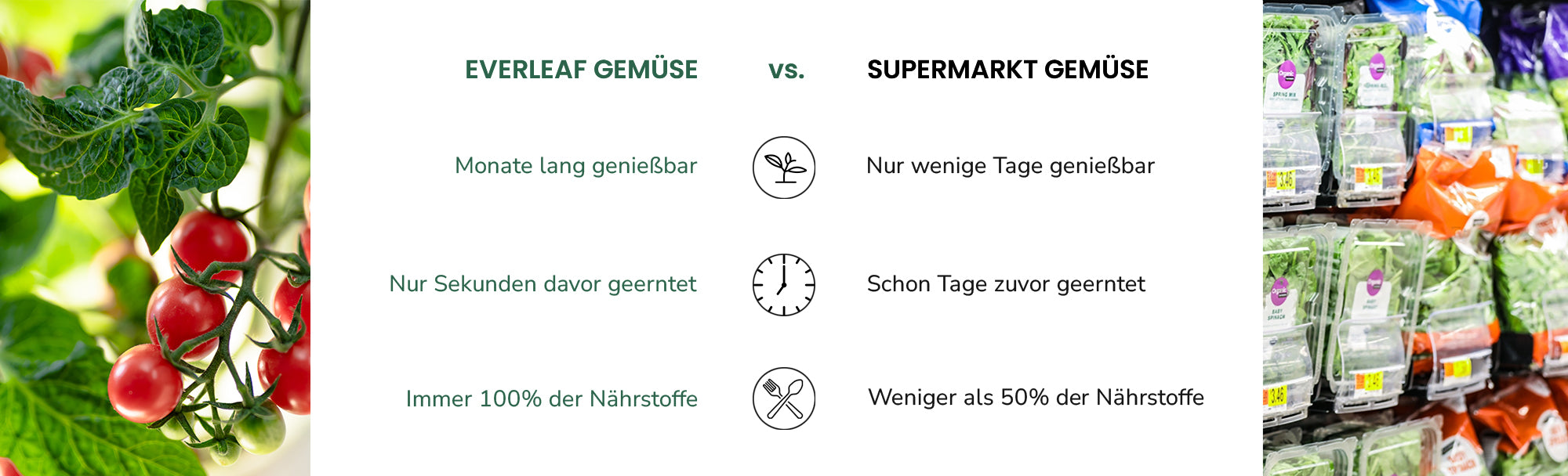 Everleaf Vergleich mit Supermarkt Gemüse