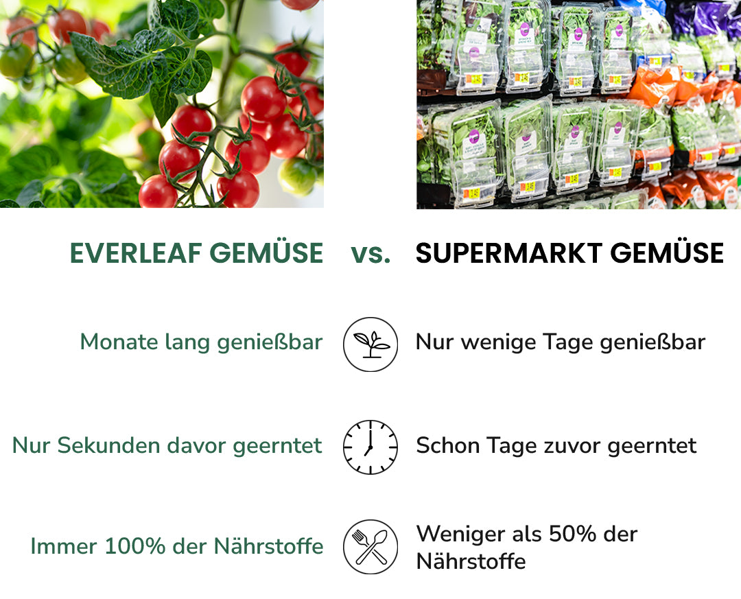 Everleaf Vergleich mit Supermarkt Gemüse