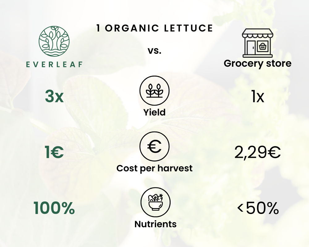 compare everleaf garden supermarket grocery store