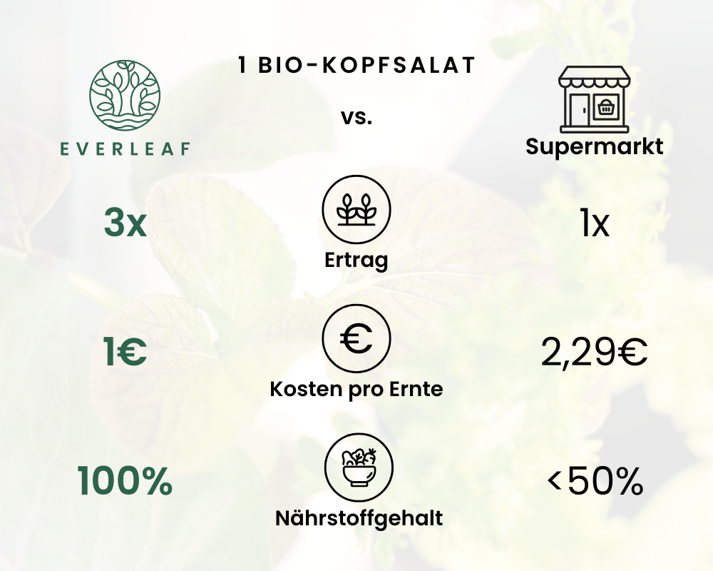 Vergleich everleaf garden supermarkt gemüse