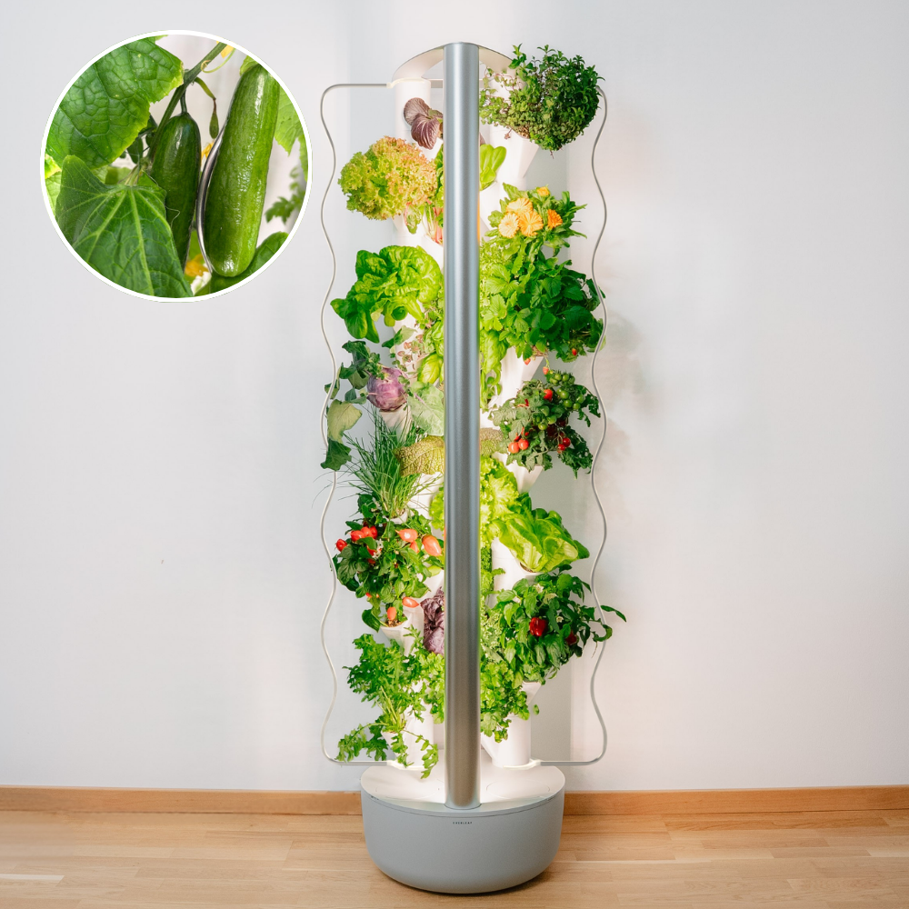 Rankhilfe im Everleaf Garden
