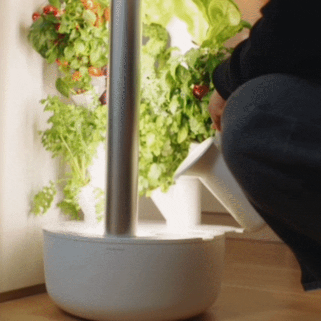Everleaf Garden Wasser nachfüllen und wachsen lassen